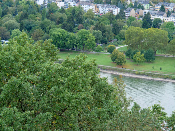 a cidade de koblenz e o rio rhine - koblenz rhine river river city - fotografias e filmes do acervo