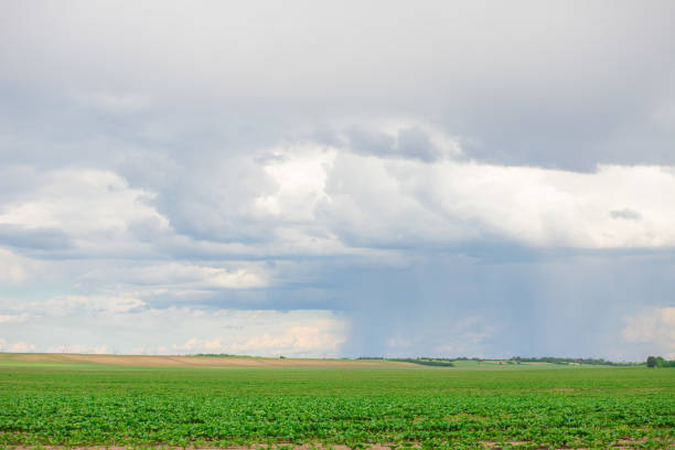 istock Dark clouds on sky with one part with rain over agricultural fields in distance 1181018025