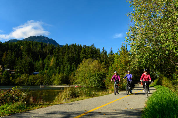 istock Active seniors cycling on a paved trail 1181019793