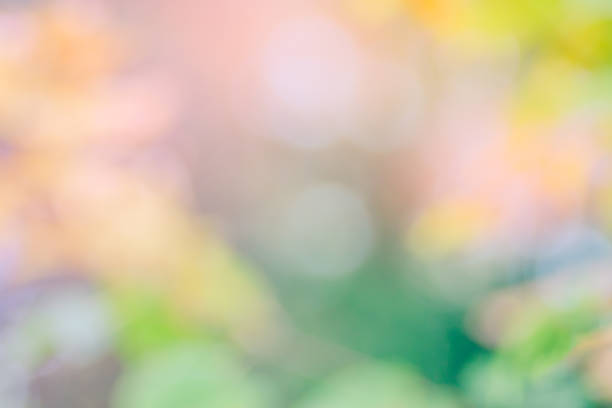 istock Abstract defocused nature background with colorful bokeh 1181020363