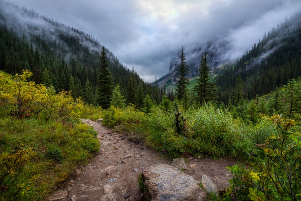 istock Plain of Six Glaciers 1181025153