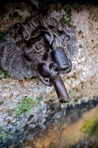 Gargoyle antique lion's head made of bronze