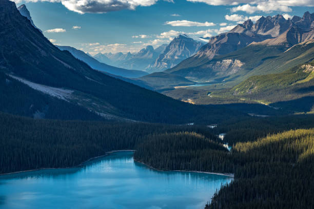istock Gorgeous Peyto Lake 1181027082