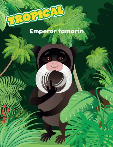 Vector illustration of Emperor Tamarin