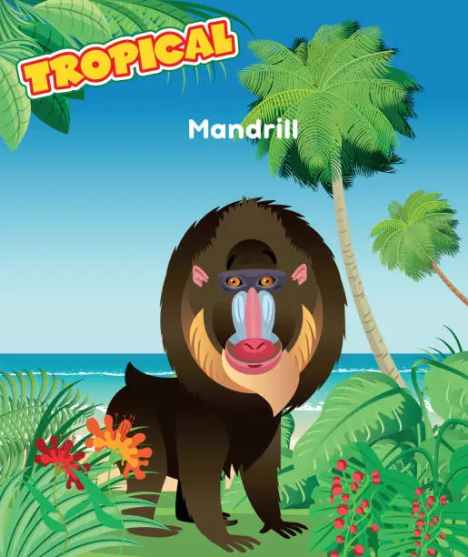 Vector illustration of Mandrill and Summer