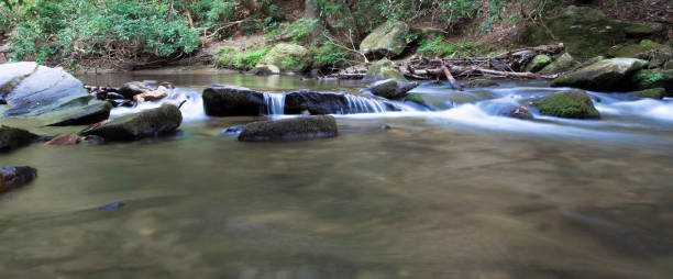 River running through Stone Mountain State Park in North Carolina