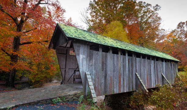 istock Pisgah Covered Bridge in North Carolina 1181030873