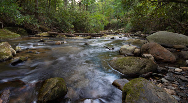 Creek running through Stone Mountain State Park in North Carolina