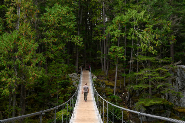 mann wandert über eine hängebrücke in den wald - whistler britisch kolumbien stock-fotos und bilder