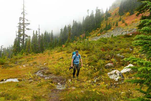 istock Hiking in the mountains 1181033980