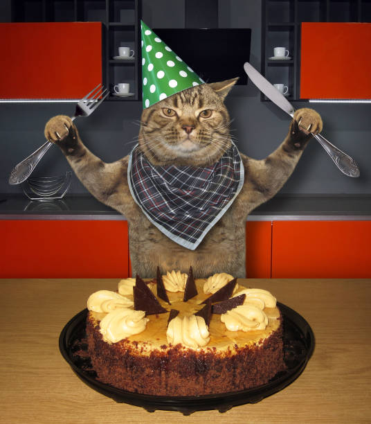 istock Cat eating birthday cake in kitchen 1181035898