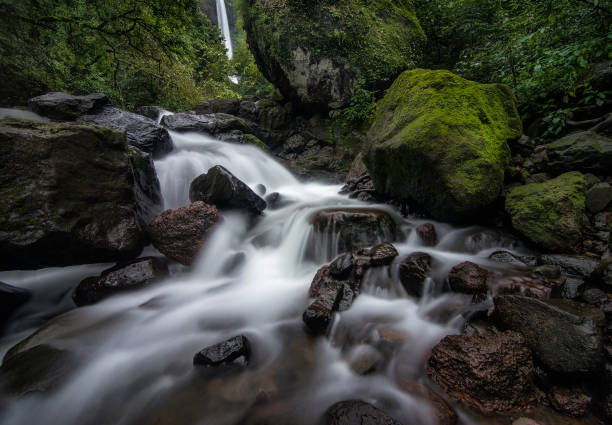 istock Famous Ozarde waterfall near Koynanagar,Satara,Maharashtra,India 1181036336