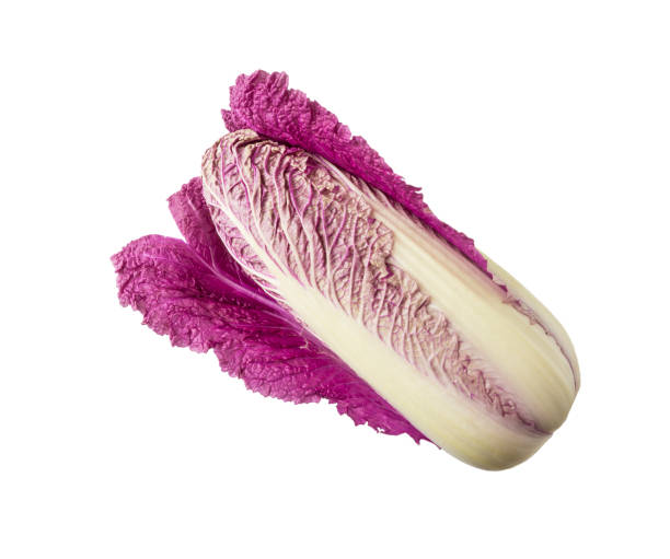 istock Purple napa cabbage on white. Purple chinese cabbage isolated on white background. 1181037617