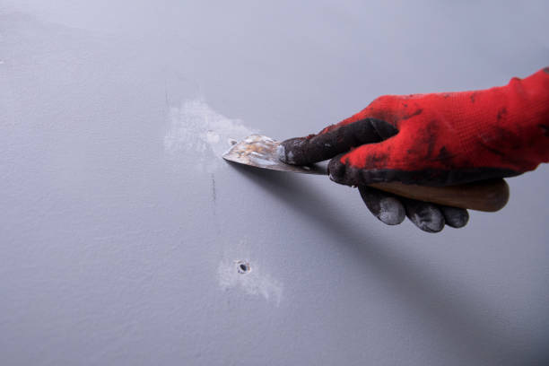istock renovation of walls 1181038213
