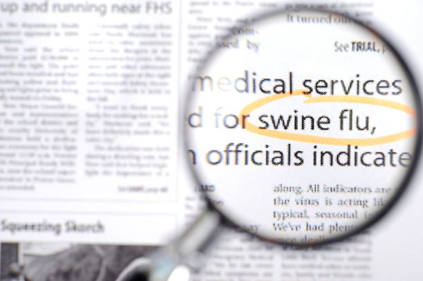 istock Swine flu news 118103852
