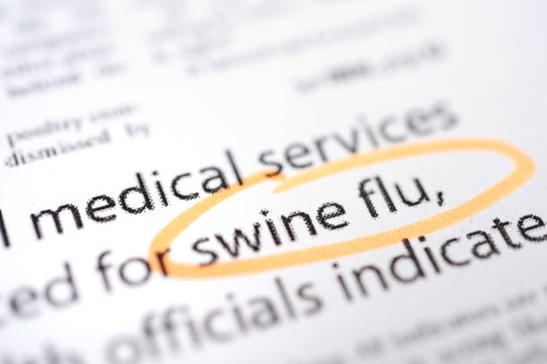 istock Swine flu news 118103903