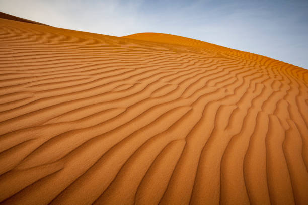 rippled desert dunes, oman beautiful shapes of nature, rippled desert dunes at the wahiba sands desert in the sultanate of oman. oasis sand sand dune desert stock pictures, royalty-free photos & images
