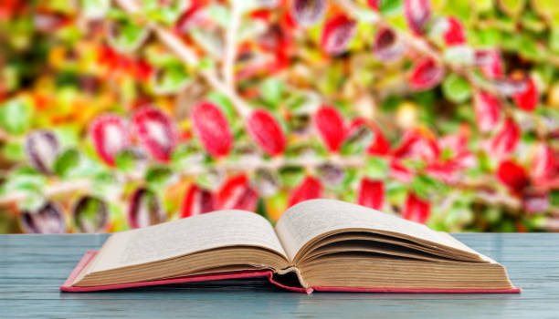 istock Open book on a wooden surface on a background of shrubs 1181039186