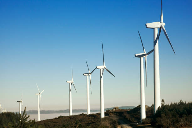istock Wind turbines, sustainable energy, clear blue sky background.. 1181040276