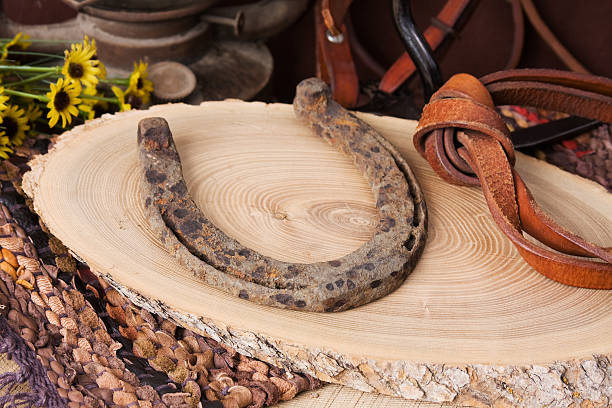 istock Rusty Horseshoe and Knotted Reins 118104121