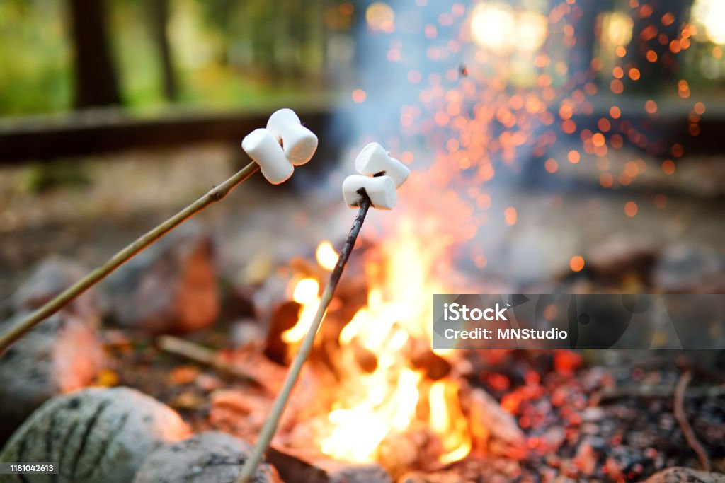 Roasting marshmallows on stick at bonfire. Having fun at camp fire. Roasting marshmallows on stick at bonfire. Having fun at camp fire. Camping in fall forest. Camping Stock Photo