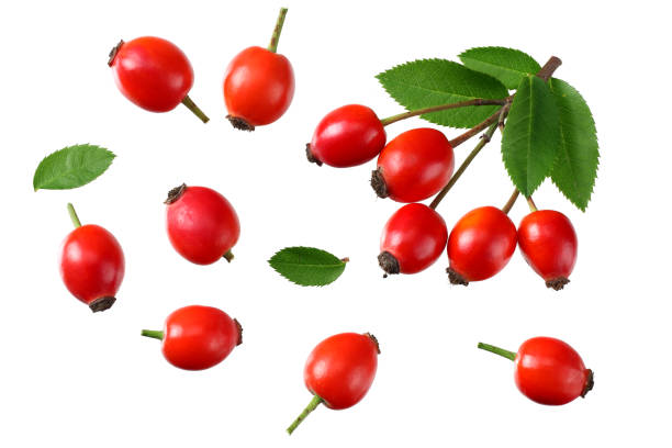 istock rosehip berries with green leaves isolated on white background. Top view 1181043429