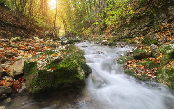 istock Autumn landscape. River into canyon. 1181046838