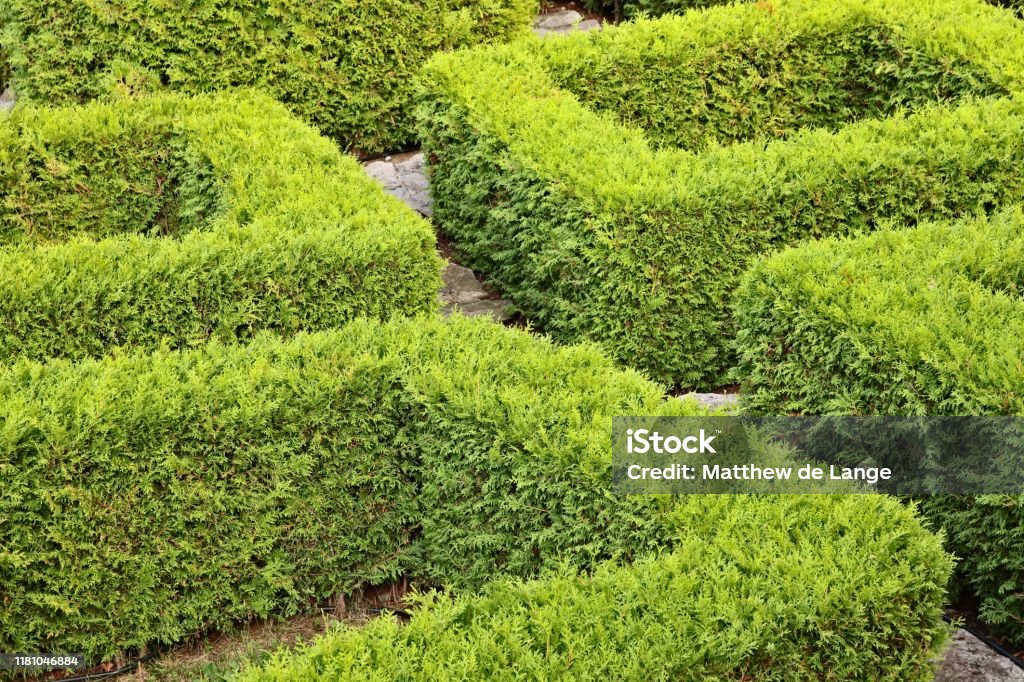 An Outside Labyrinth Problem Solving Concept Image Stock Photo ...