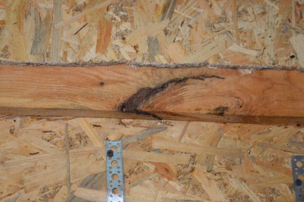istock Insulation of the frame house with drywall in interior 1181047625