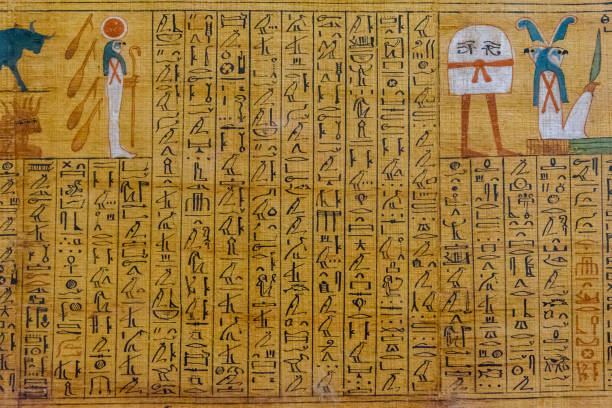 Egyptian ancient papyrus with the different pictures and hieroglyphics