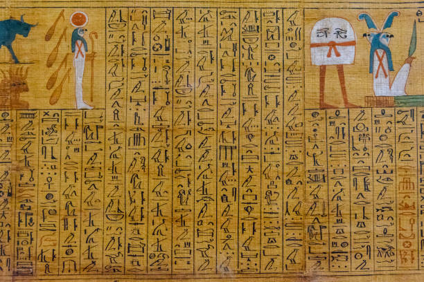 papiro antigo egípcio com os retratos e os hieróglifos diferentes - paintings africa cairo african culture - fotografias e filmes do acervo