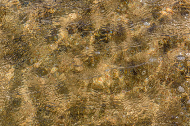 istock Background of Red sea water surface 1181050274