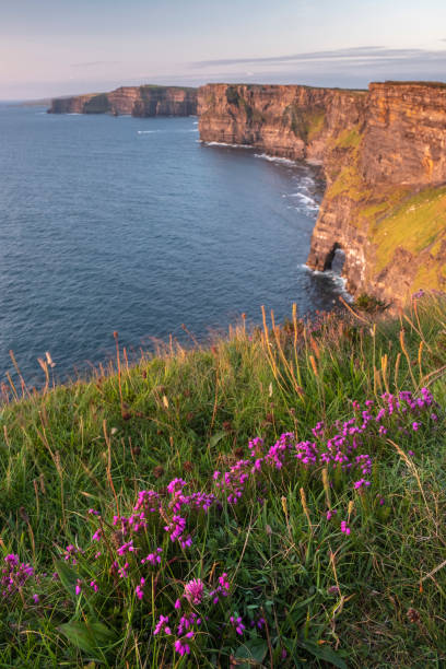 klippen von moher bei sonnenuntergang - republic of ireland cliffs of moher panoramic cliff stock-fotos und bilder