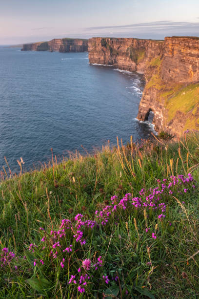 penhascos de moher no por do sol - republic of ireland cliffs of moher panoramic cliff - fotografias e filmes do acervo