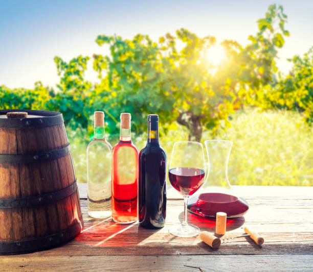 istock Wine bottles wine glass and barrel in vineyard 1181055509