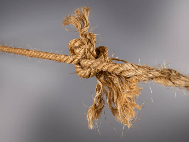 istock Rough strong ropes connected by large knot on gray background 1181061979