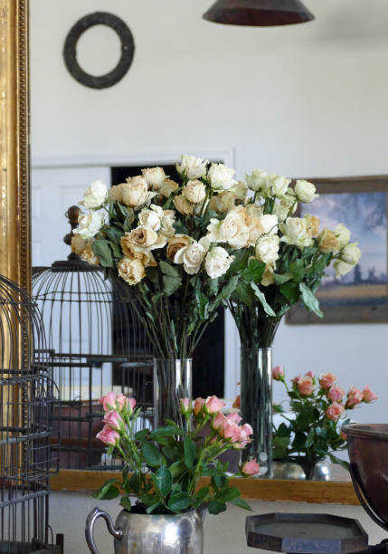 istock FLOWER REFLECTIONS & Pine Furniture 1181063057
