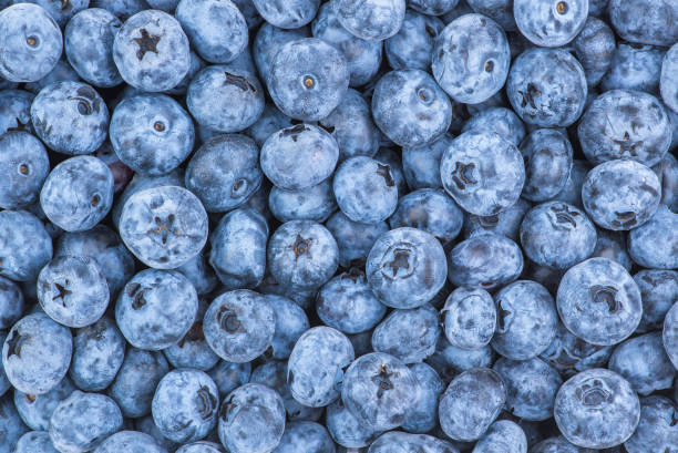 Close-up background. Fresh Blueberry Background. Texture blueberry berries close up. Various fresh summer berries. Blue food.