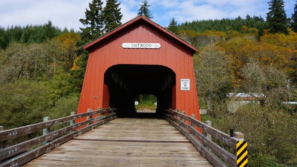 istock Wooden Bridge in Oregon 1181067956