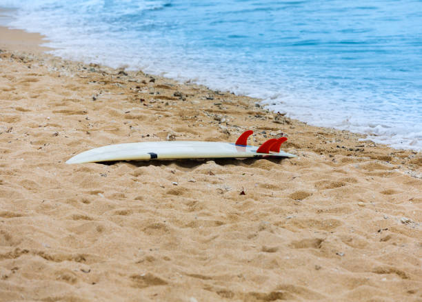 istock Surfboard lying on sand near the ocean 1181069307