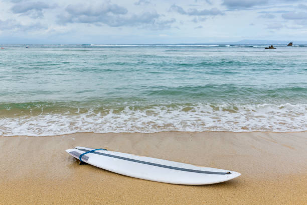 istock Surfboard lying on sand near the ocean 1181069376