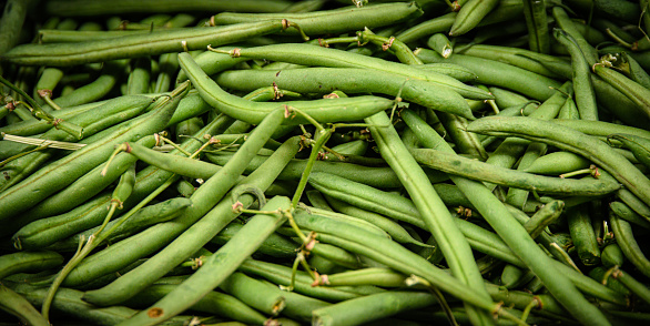 A large amount of fresh green beans.