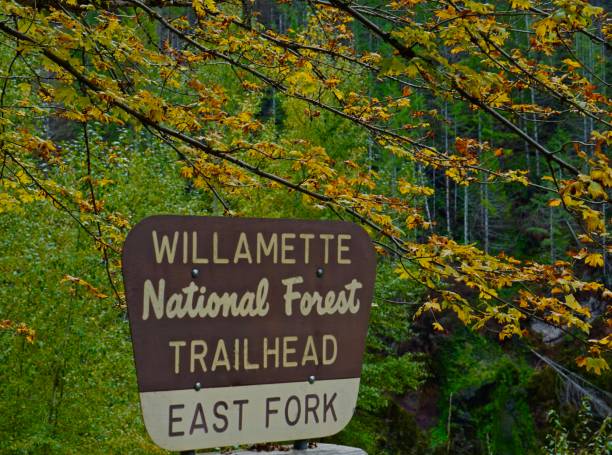 istock Willamette National Forest Sign 1181072816