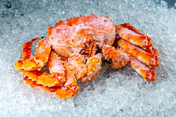 o grande caranguejo vermelho de kamchatka, mentiras no gelo, com garras, cereja, fatias de limão e o cal é redondo cortado, mentira ao redor, com ervas frescas, luz, vista lateral superior, ao redor - caranguejo real do alasca - fotografias e filmes do acervo