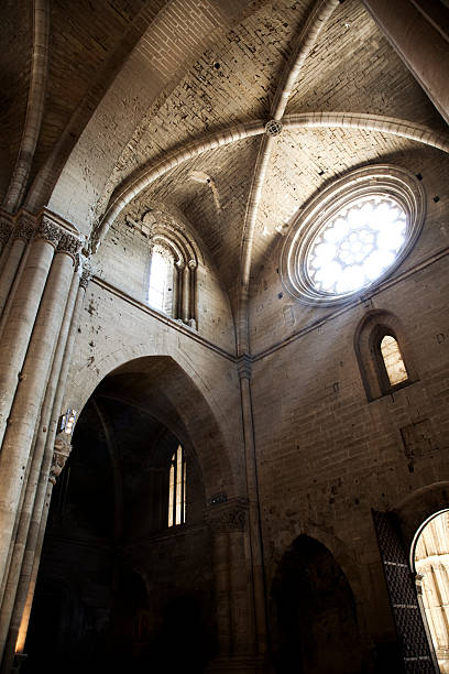 istock La Seu Vella 118107377