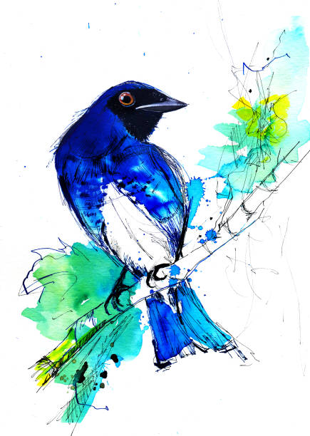 istock Exotic Bird handmade illustration on blue splash. The turquoise honeycreeper (Dacnis cayana). Watercolor Style Concept. 1181079224