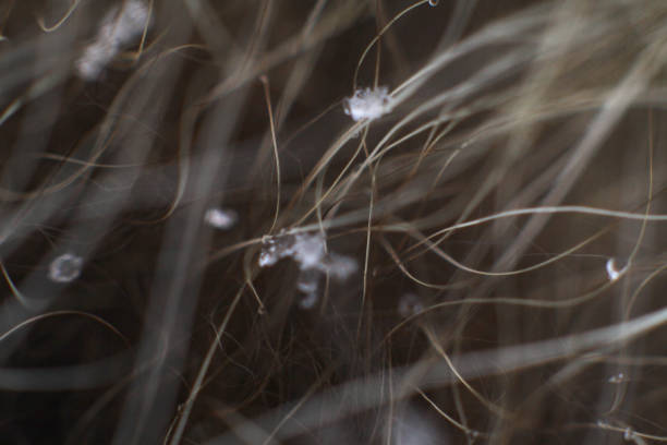 istock Beautiful abstract background for design. Composition with lines and blur. 1181079334