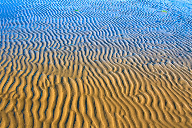 istock Wave, sand and sea. Nature background. 1181079377
