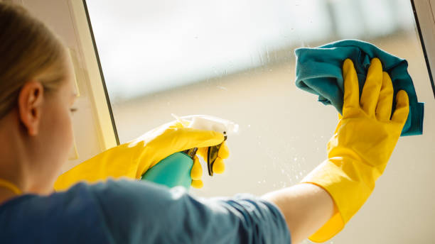 istock Girl cleaning window at home using detergent rag 1181080824