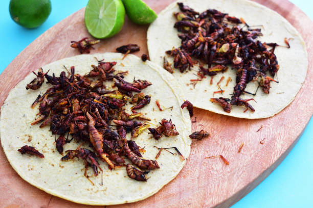 istock squably tacos with lemon 1181081635